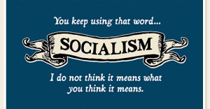 socialism-detail-onehorseshy-t1-480x2501